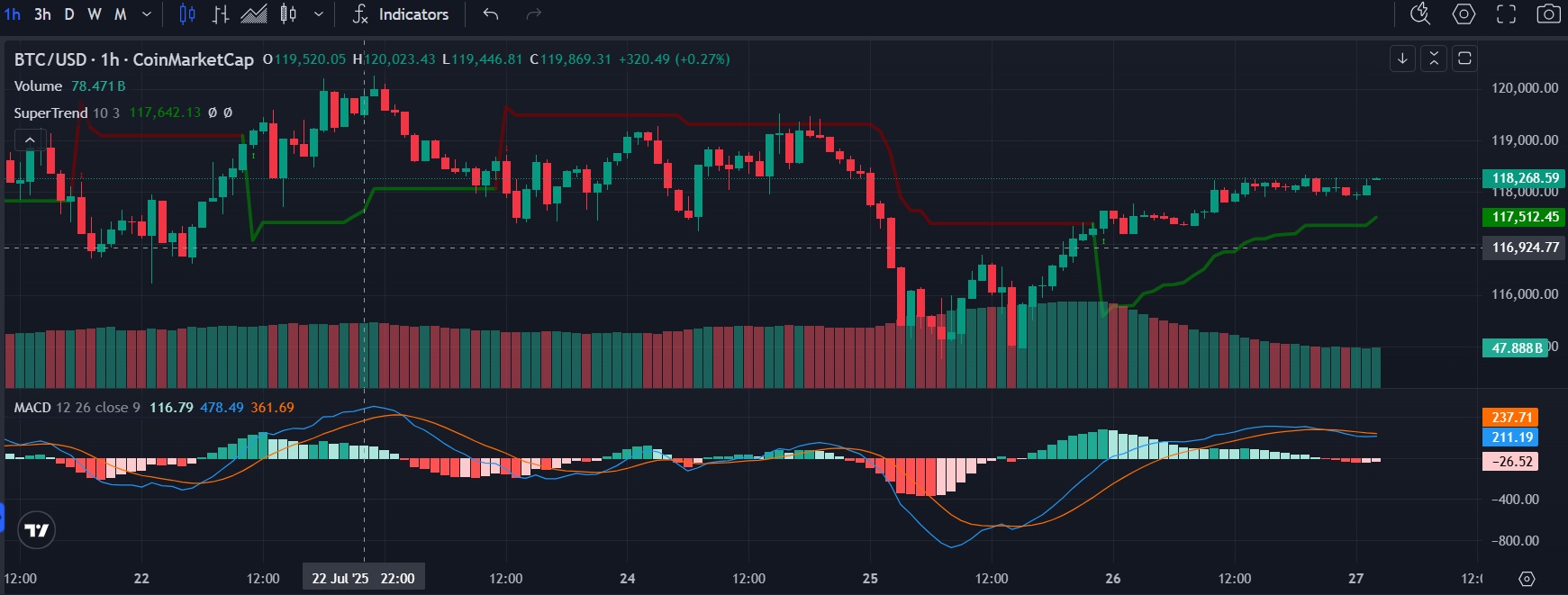  Bitcoin 2025 price chart showing market volatility 