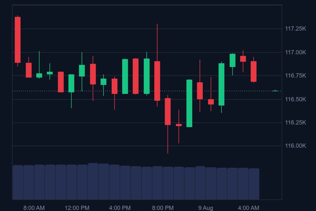 " 2025"Bitcoin Price Chart"