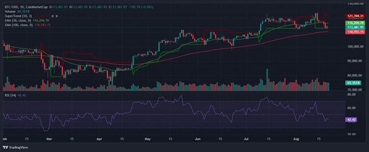 Bitcoin Price $113,481 Crypto News